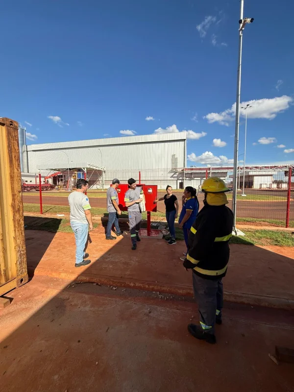 Curso de DEA