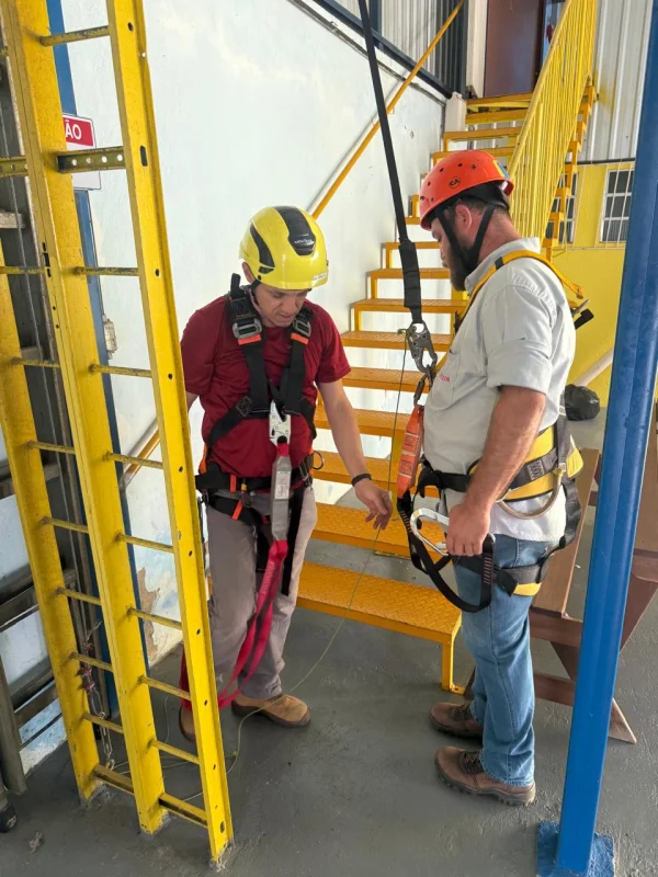 Curso de DEA